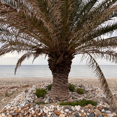 Niko Summer House * Sozopoli